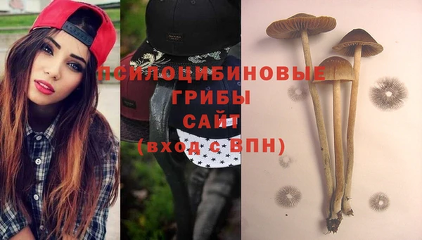 мяу мяу мука Алексеевка