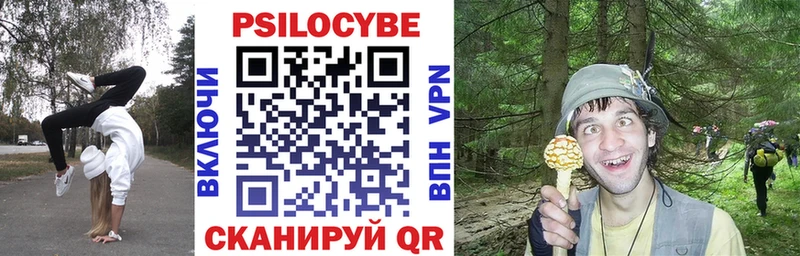 Галлюциногенные грибы прущие грибы  KRAKEN ссылки  Лахденпохья 