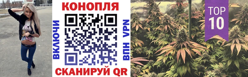 Каннабис OG Kush  Лахденпохья 